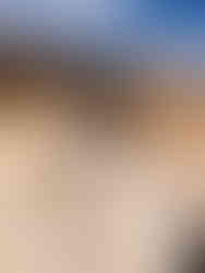 נחל נקרות במכתש רמון