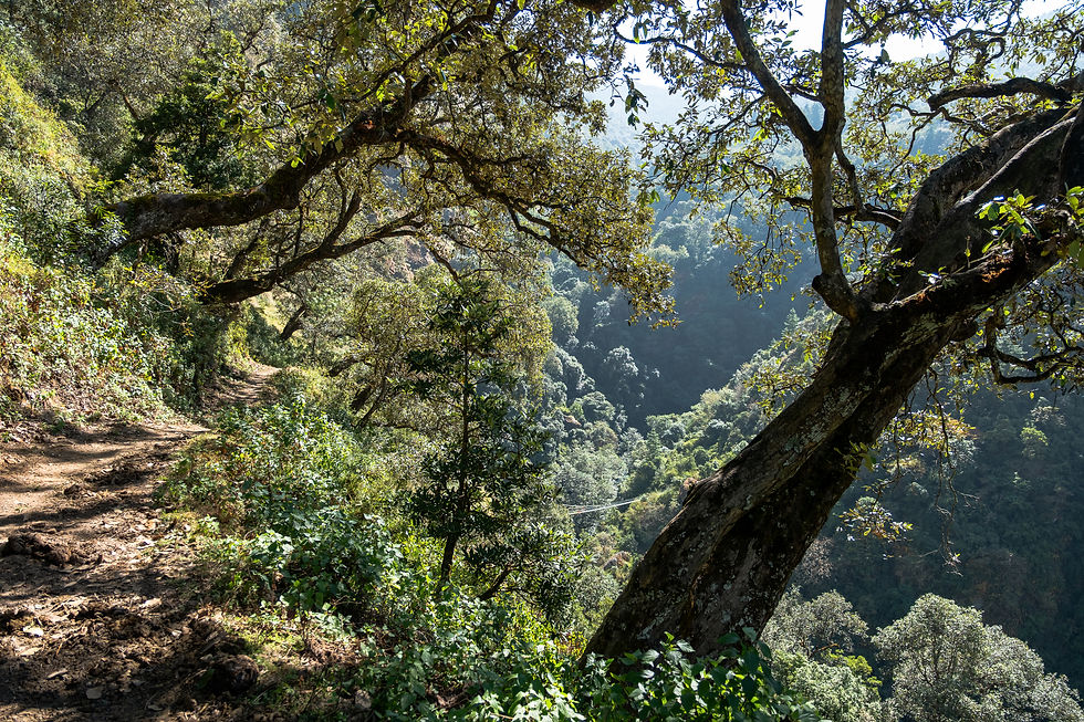 טרק האגמים הקפואים נפאל