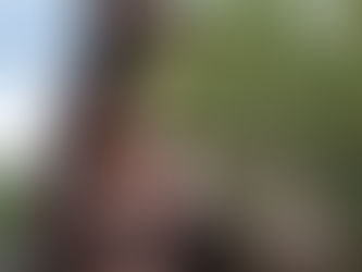 Shirakawa-go’s Ogimachi Village