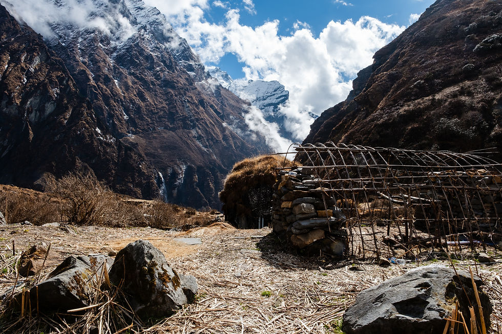 ABC טרקים בנפאל - טרק