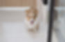 S__50692110_0.jpg