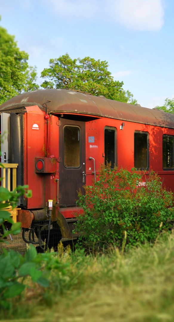 ålshults_handelsbod-cultural_cafe-summer-mat_musik-train.jpg