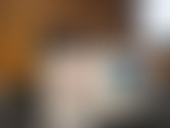 WPA Congress contou com mesa brasileira em sua programação