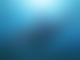 'Could a Megalodon eat a bus?'