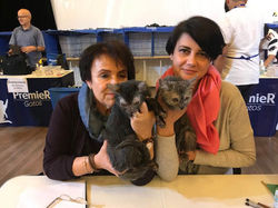 GĂȘnnetos Abies e Abella