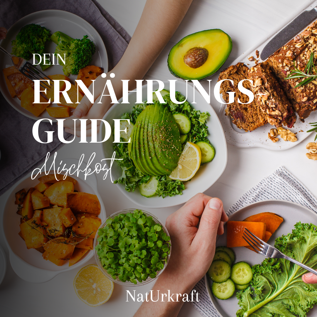 Ernährungsguide Mischkost