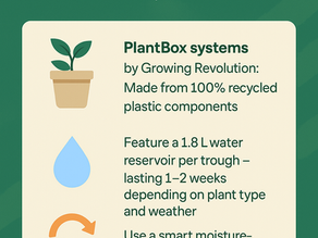 Sustainable Design: How Living Walls Help Reduce Your Carbon Footprint