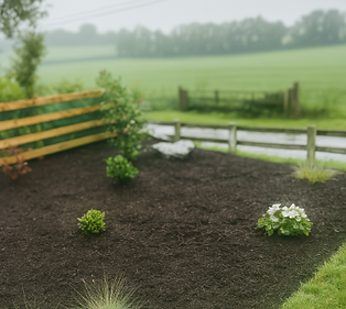 john joe newry site.png