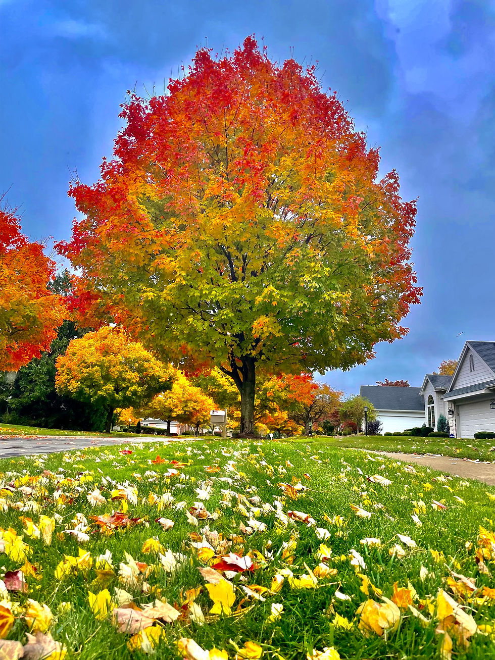Toledo, Ohio 32