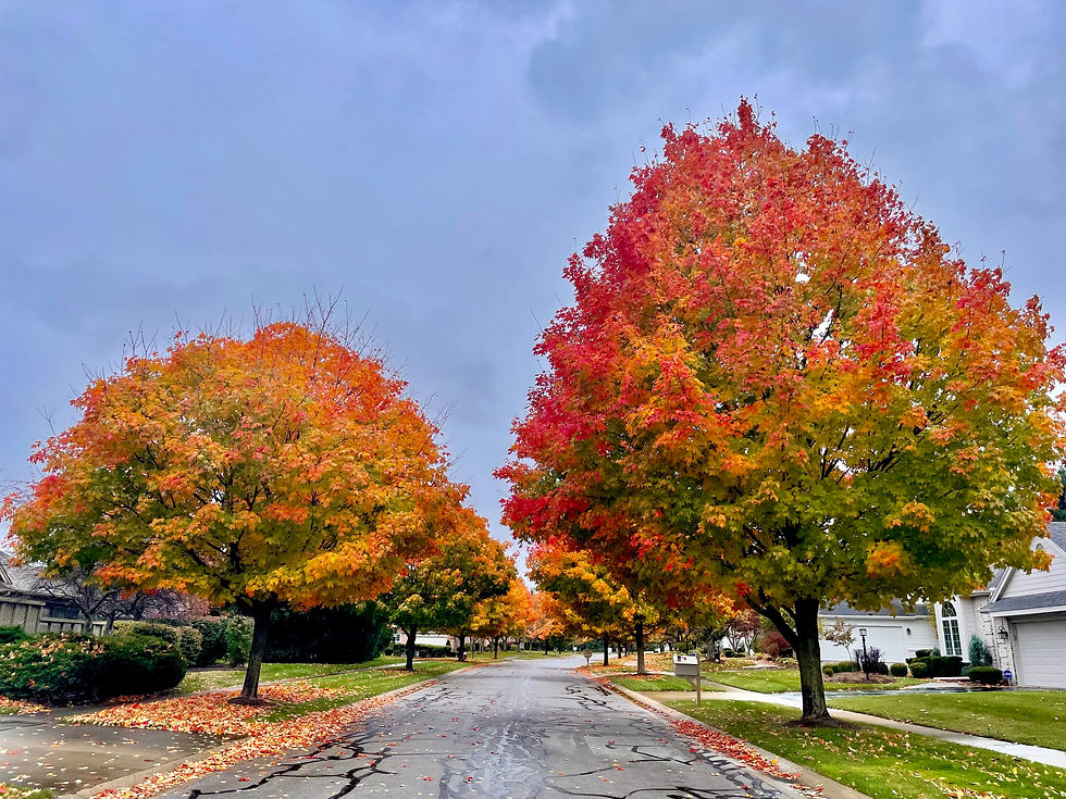 Toledo, Ohio 57