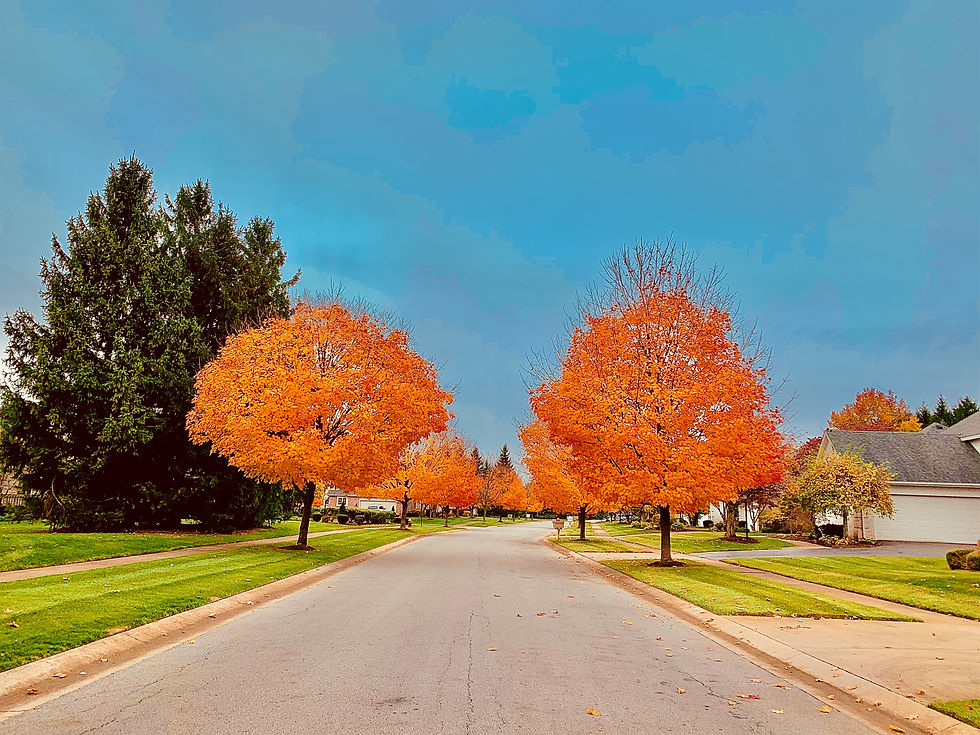 Toledo, Ohio 83