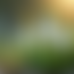  Mysteries of Imbolc and its correspondence