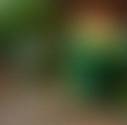 Three Powerful Prosperity Spells to Abundance