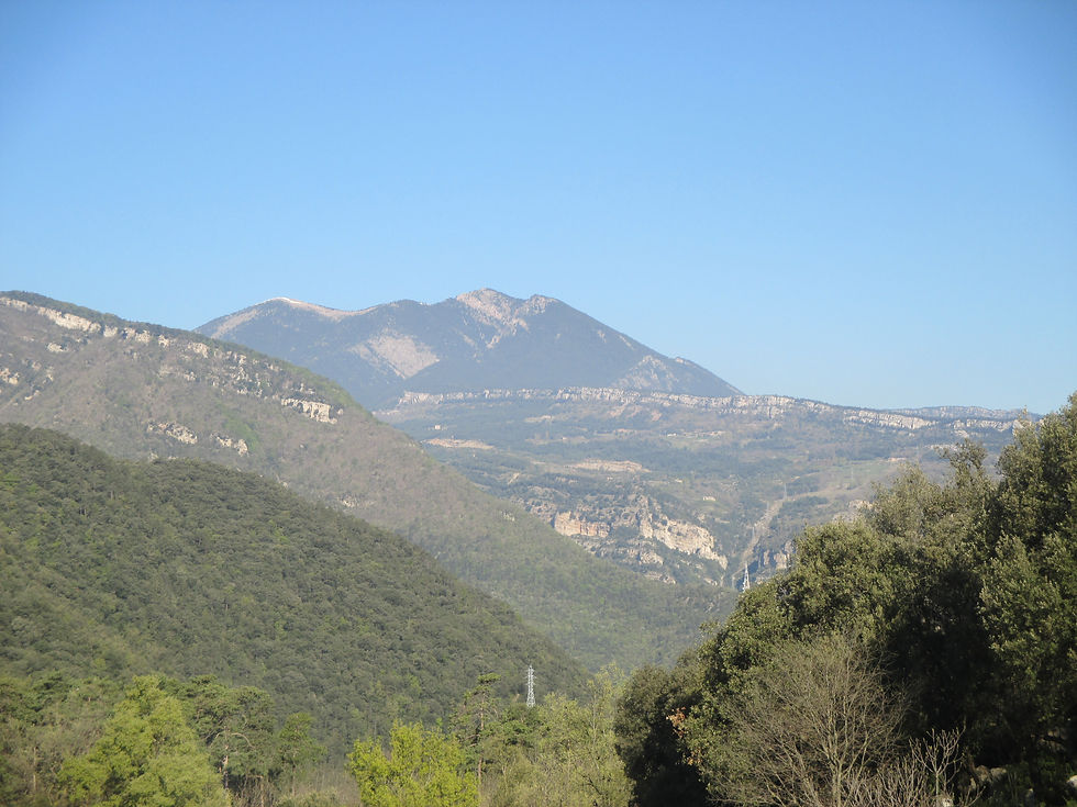 Potser es la Gallina Pelada?