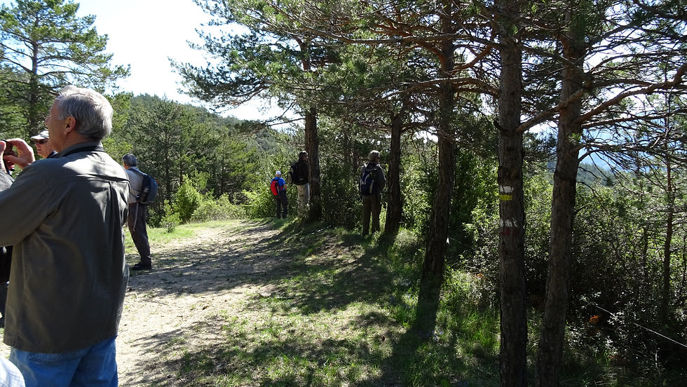 Respectem la intimitat del moment