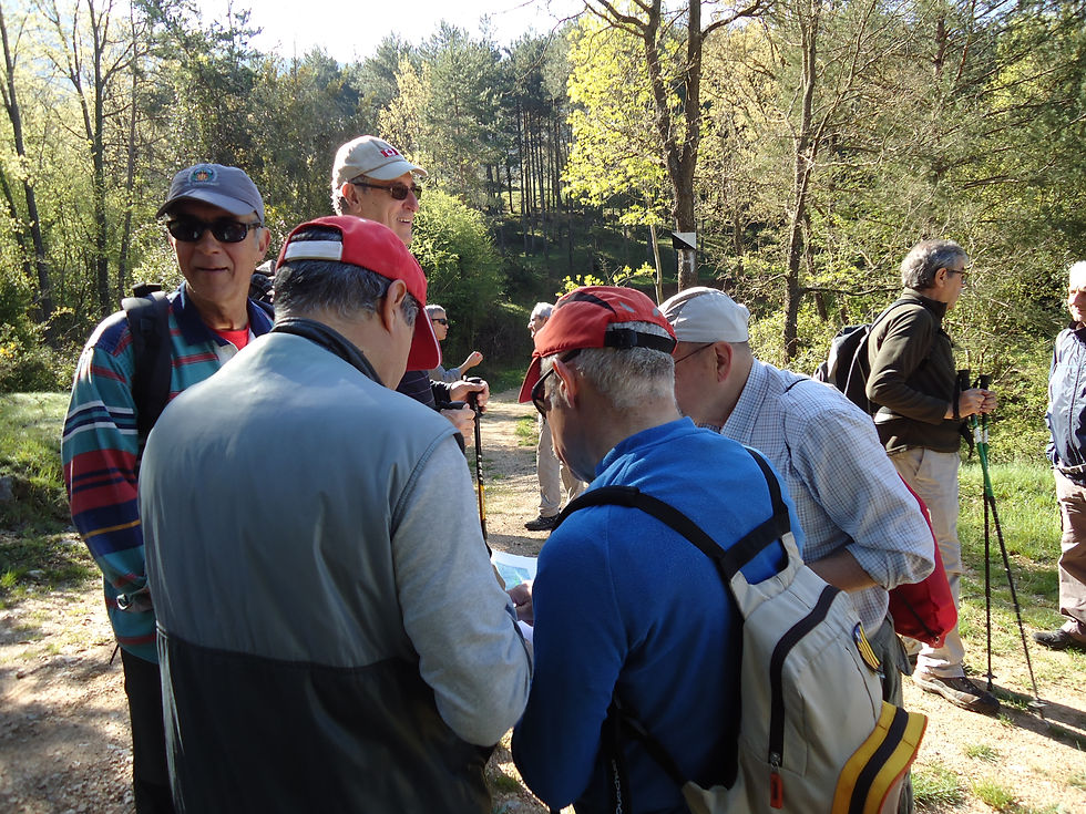 Consultant el plànol