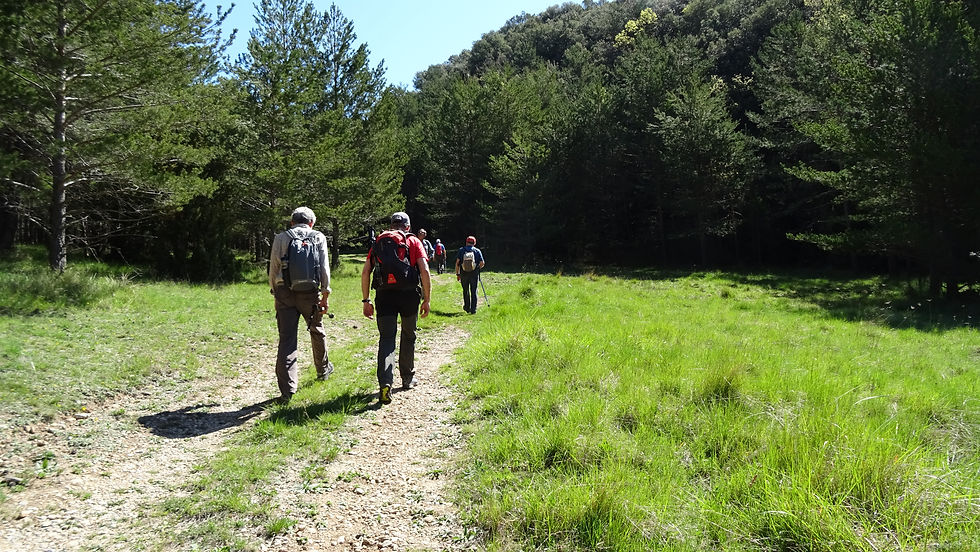 El grup ja s'ha trencat