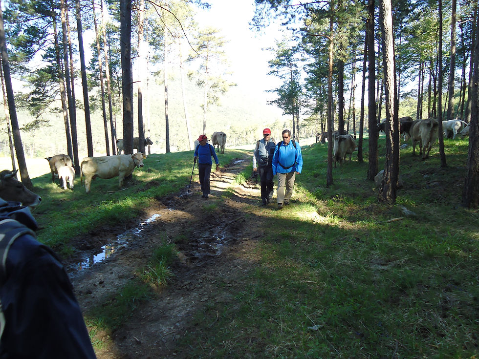 Oriol, Toni i el Tortosí
