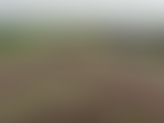 Re-Introduction Post