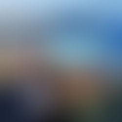 Mercato Bomba!! Manna svia tutti e punta su Lookman e Comuzzo: colpi a sorpresa per un Napoli scatenato