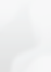 CAT BG.png