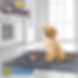 PET FRIENDLY.png