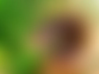 Liberte-se da prisão da sua própria mente!