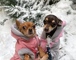 LET'S BUY BRITISH | BRITISH MADE