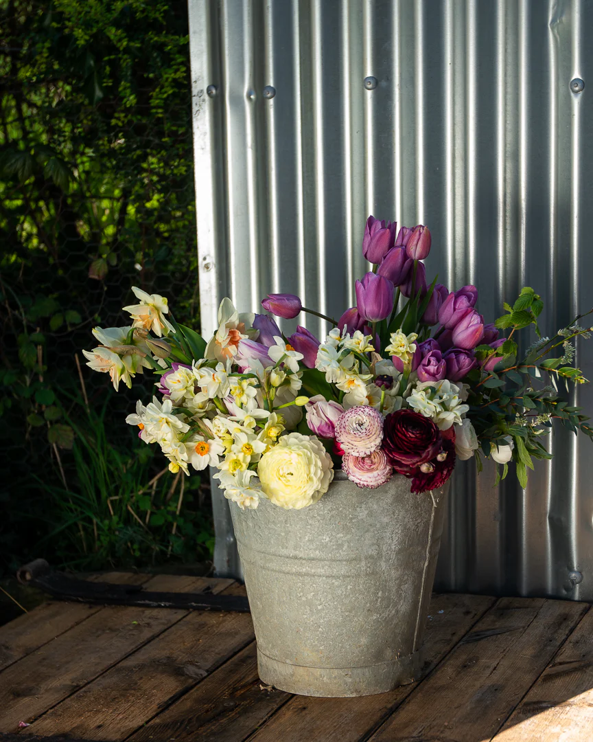 Seasonal Stem Box from Stem and Green