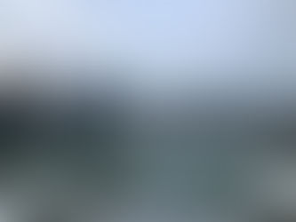 Singapore’s ESG Transformation: Building a Sustainable and Resilient Future