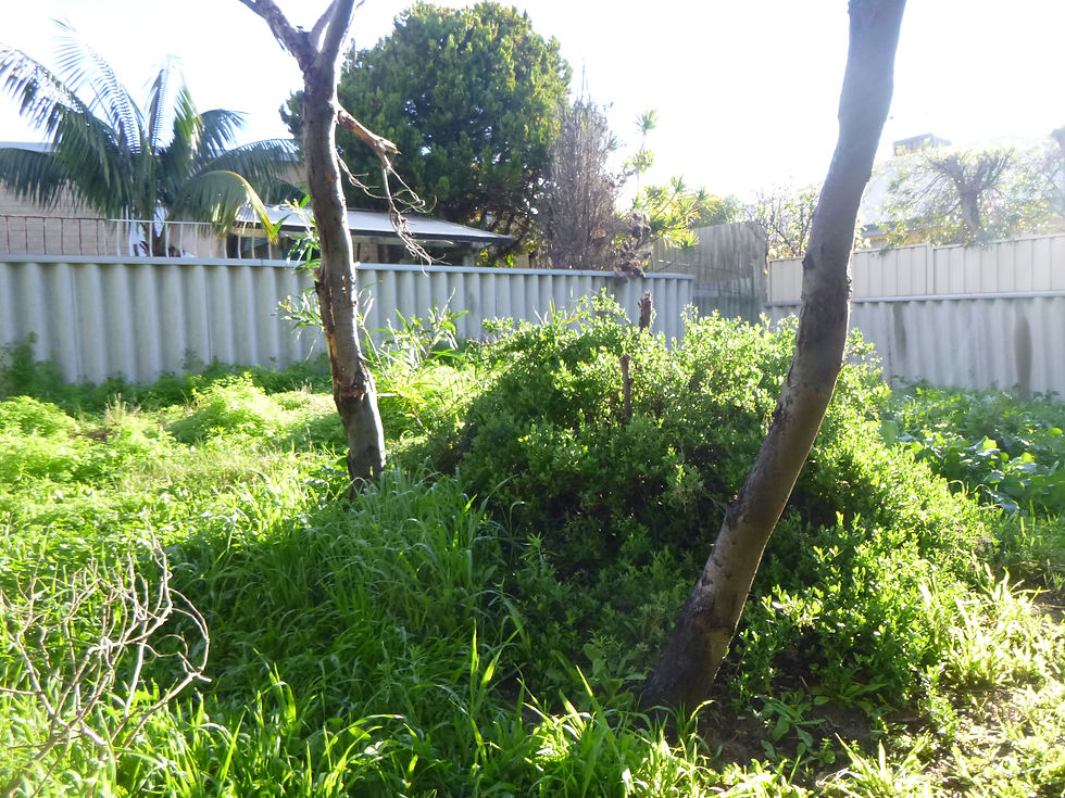 A great habitat