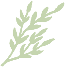 flower_edited.png