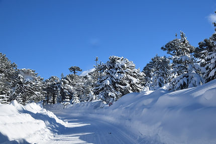 DSC_0852.JPG