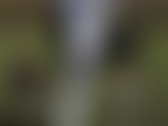 dForce Soccer Mom Outfit for Genesis 8 Female(s)