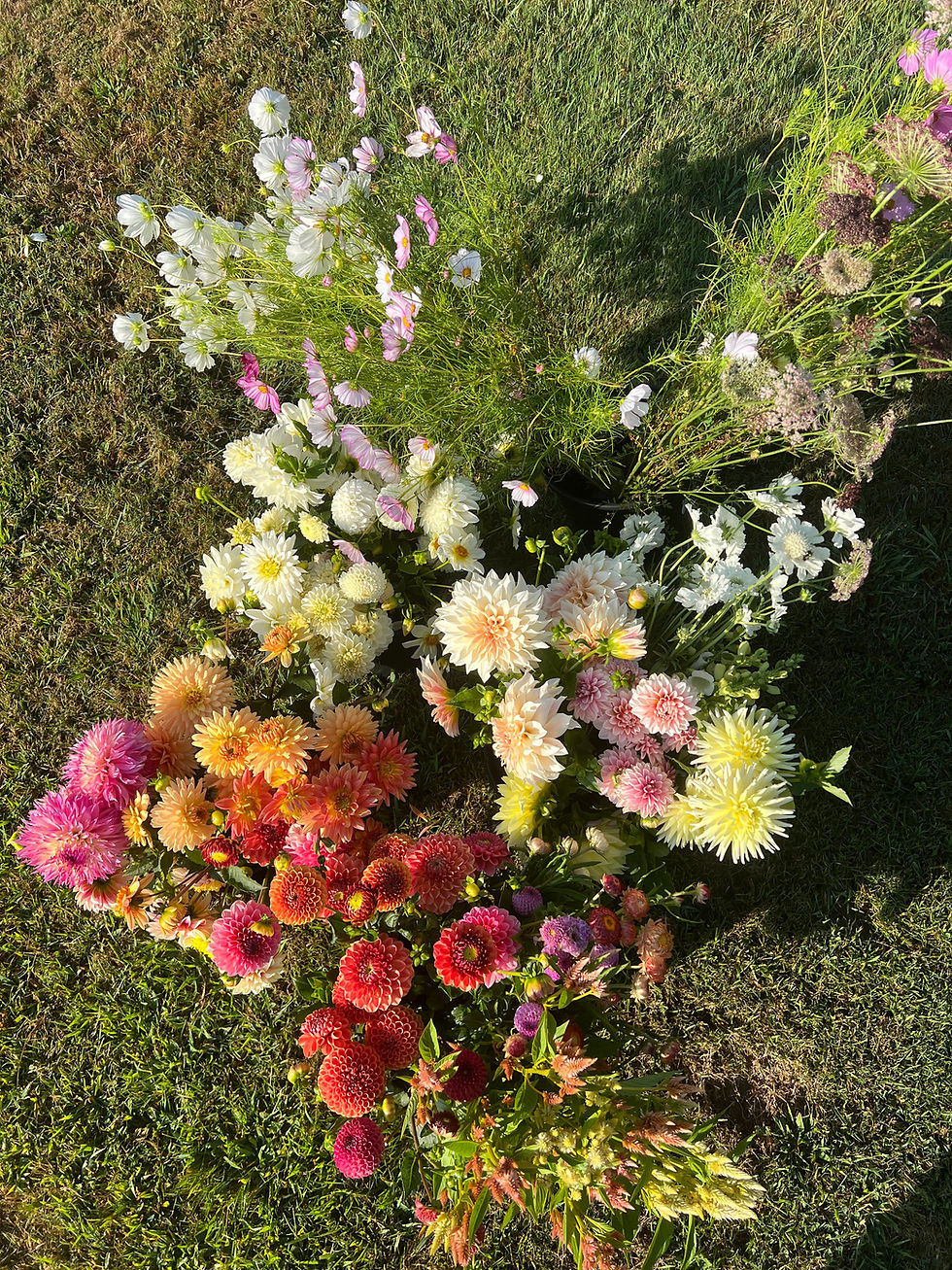 Thumbnail: Flower Subscription - 3 Months