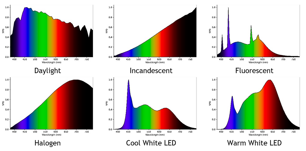 Spectral power distribution curve of light