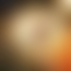 Et si on parlait résilience ?