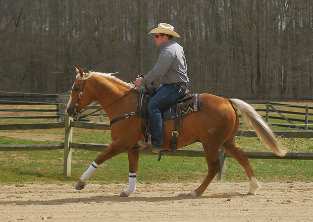 P1350766 (1).jpg