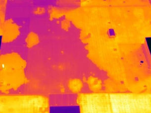 Flat Roof Infrared Image