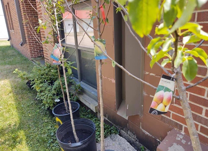 News and Events Appleton Area Health