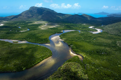 Ngaro Track - World Expeditions