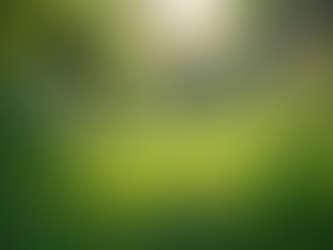 The Importance of Sustainable Living in Today's World