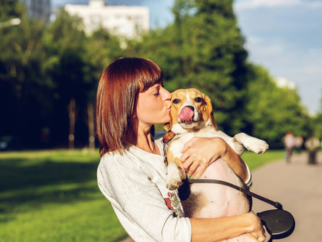 Jeune femme serrant affectueusement son chien dans ses bras pour le rassurer avant une garde.
