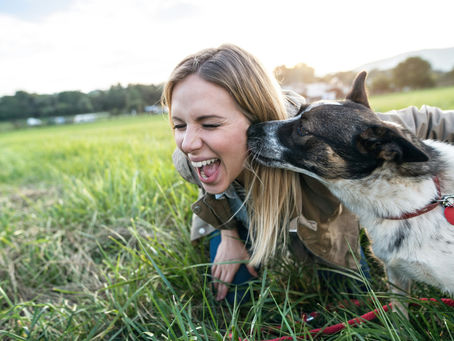 A happy young woman playing and receiving a kiss from her dog in a grassy field, showcasing the bond between pet and pet sitter.