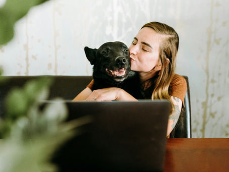 A smiling independent pet sitter managing their business online with a happy dog by their side in Canada.