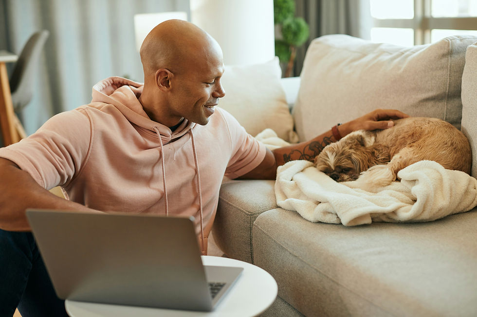 A remote-working pet sitter on a laptop while a small dog rests on the couch.