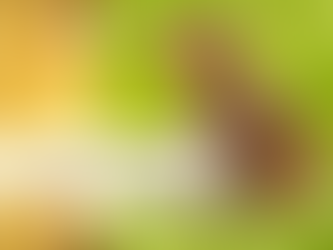 Uma Páscoa Diferente