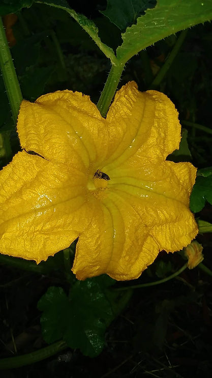 20180822_073320.jpg