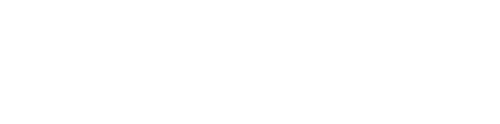 Apterra logo in white