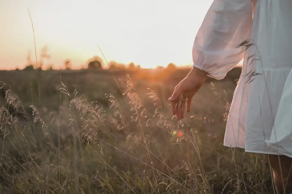 holistic lifestyle - woman in white in the fields at sunset